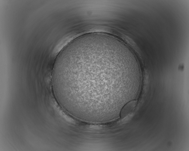 X0000110710985200906261427