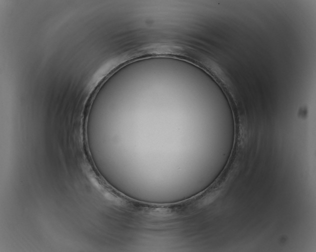 X0000110710986200906261427