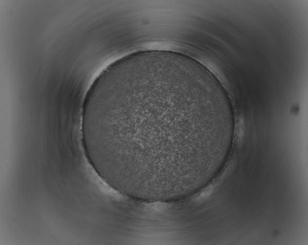 X0000110710992200906261427