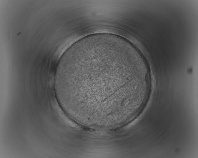 X0000110710993200906261427