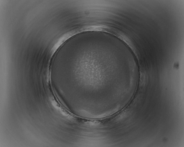X0000110710994200906261427
