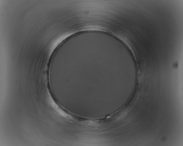 X0000110710995200906261427