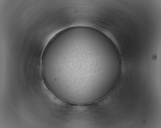X0000110710996200906261427