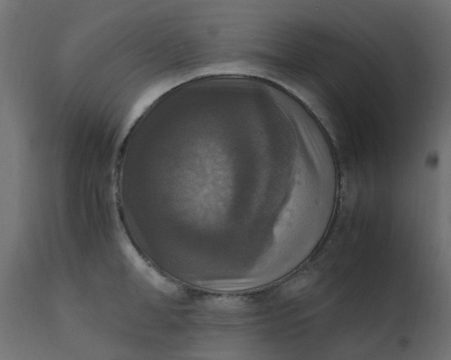 X0000110710998200906261427