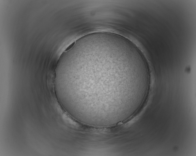 X0000110711001200906261427