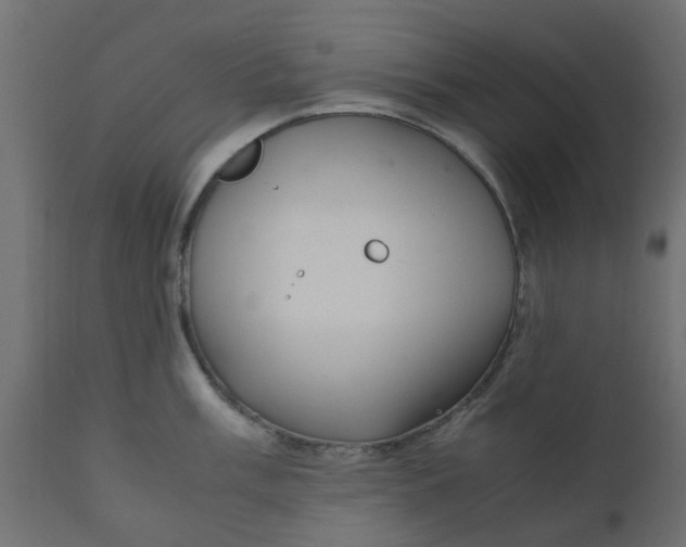 X0000110711003200906261427
