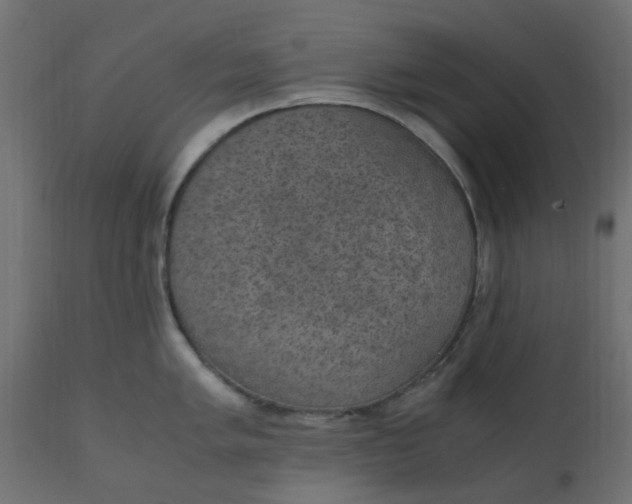X0000110711005200906261427