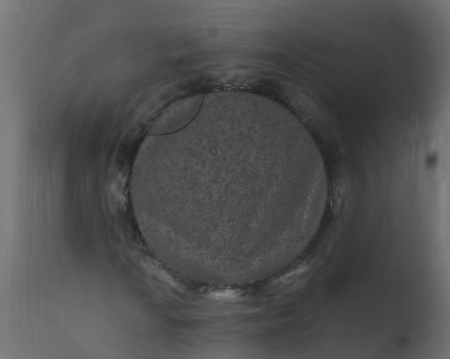 X0000110711010200906261426