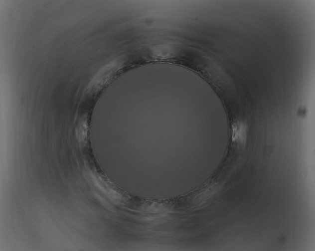 X0000110711011200906261426