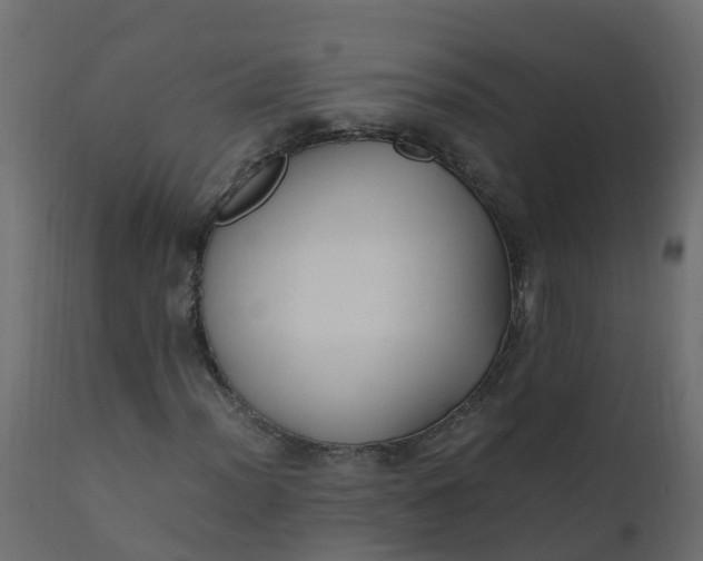 X0000110711012200906261426