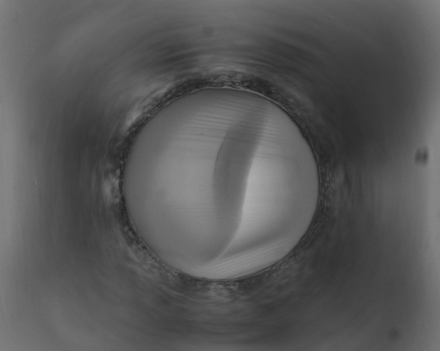 X0000110711013200906261426
