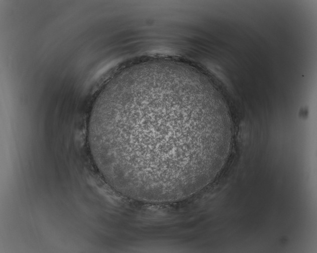 X0000110711015200906261426