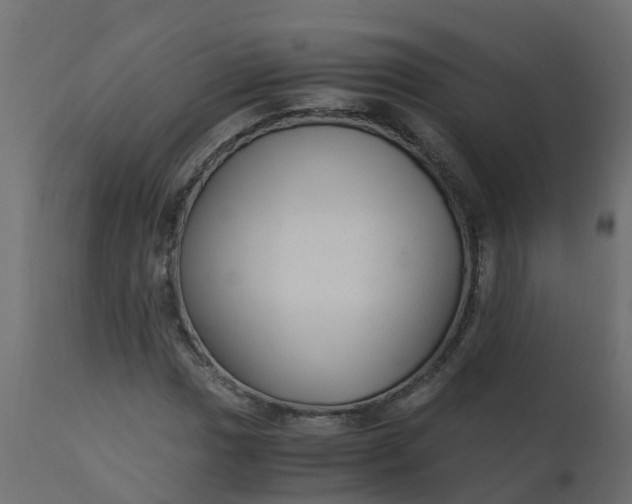 X0000110711017200906261426