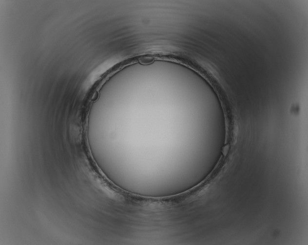 X0000110711018200906261426