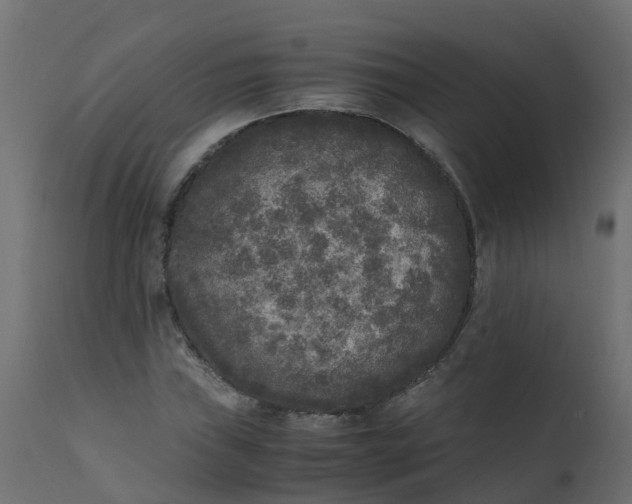 X0000110711019200906261426