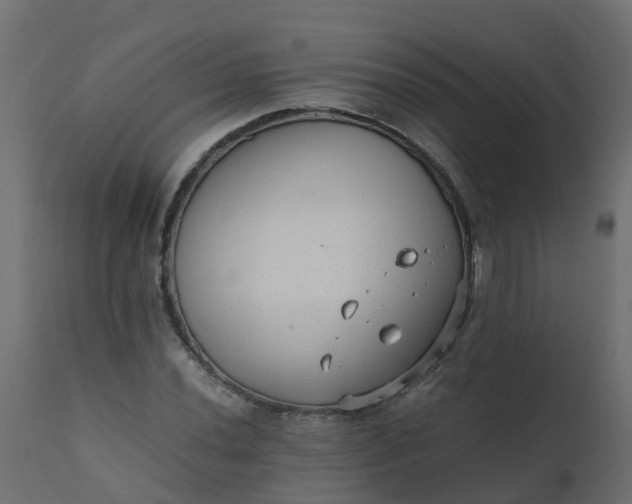 X0000110711020200906261426