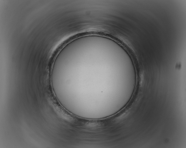X0000110711021200906261426