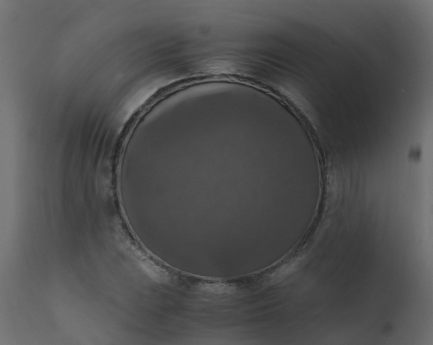 X0000110711023200906261426