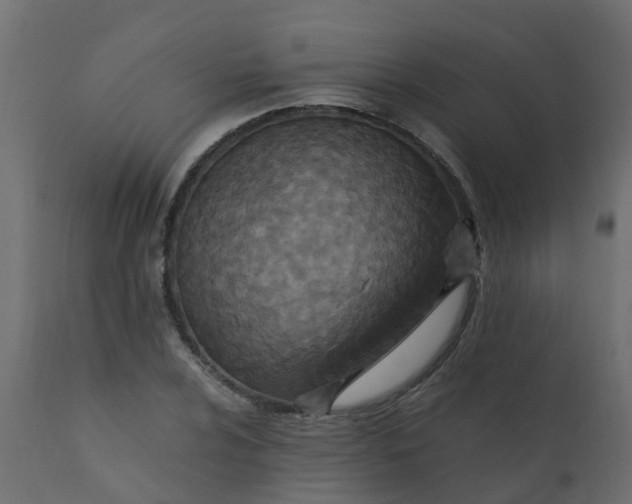 X0000110711024200906261426