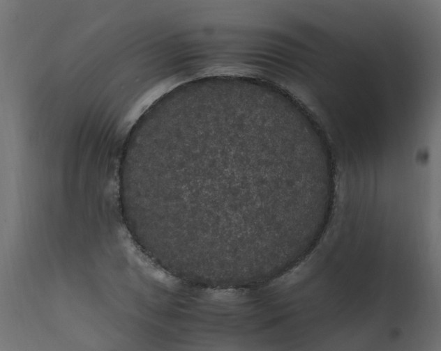 X0000110711025200906261426