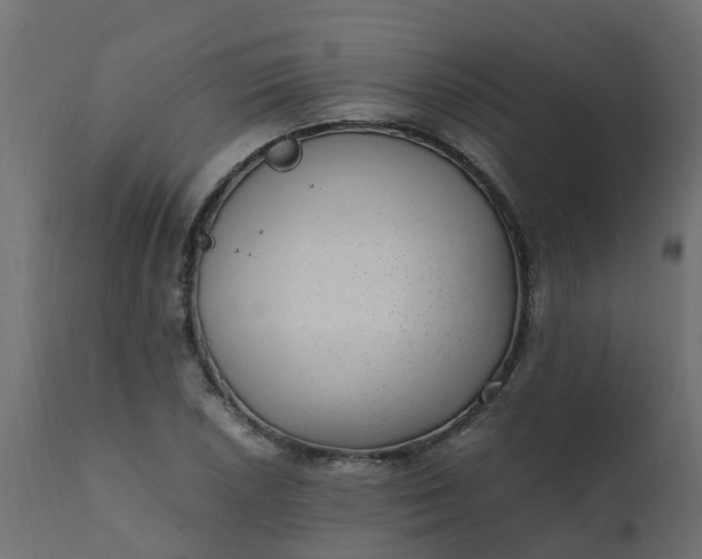 X0000110711026200906261426