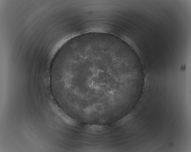 X0000110711027200906261426
