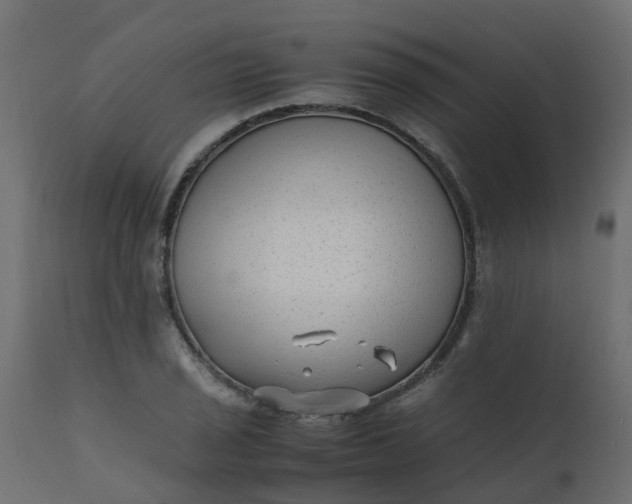 X0000110711029200906261426