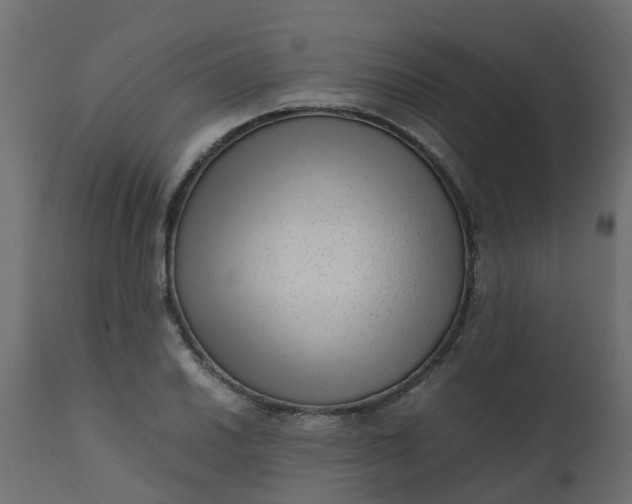 X0000110711030200906261426