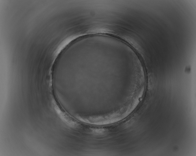 X0000110711031200906261426
