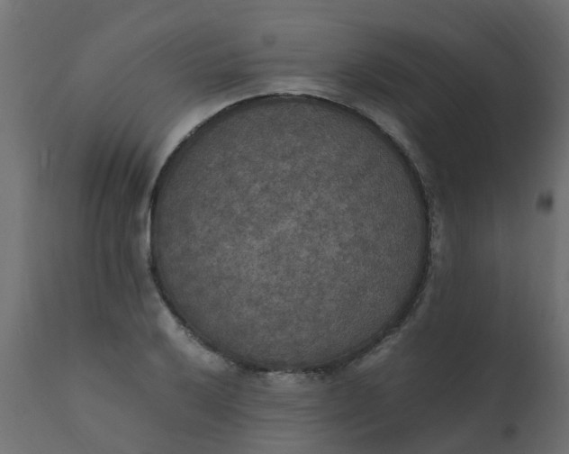 X0000110711032200906261426