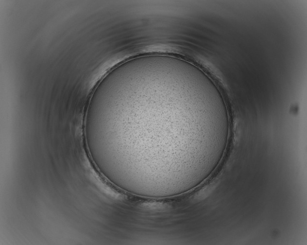 X0000110711033200906261426