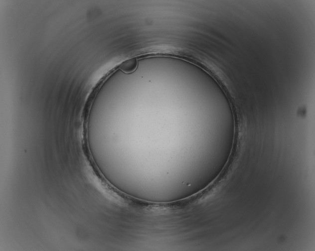 X0000110711034200906261426