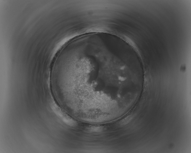 X0000110711035200906261426