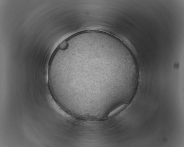 X0000110711036200906261426