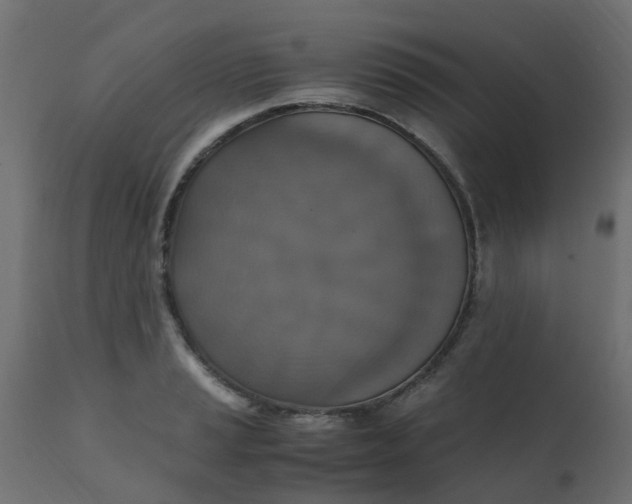 X0000110711037200906261426