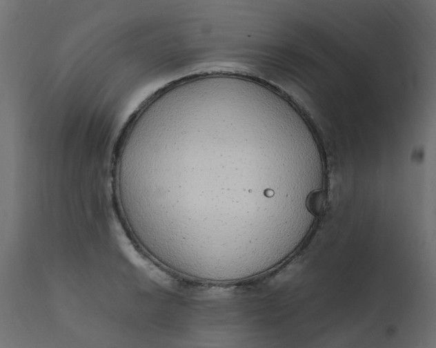 X0000110711038200906261426