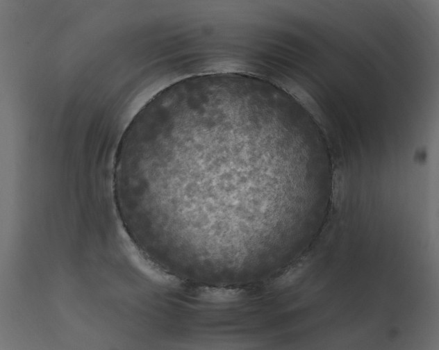 X0000110711039200906261426