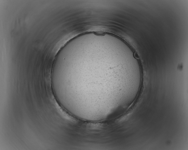 X0000110711041200906261426