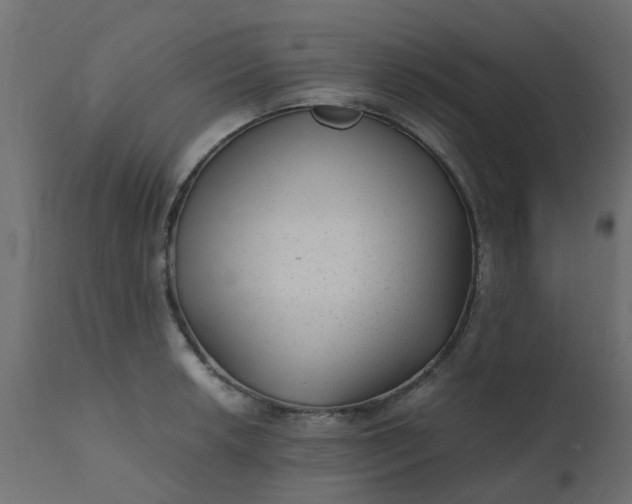 X0000110711042200906261426