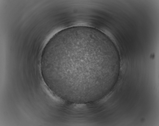 X0000110711043200906261426