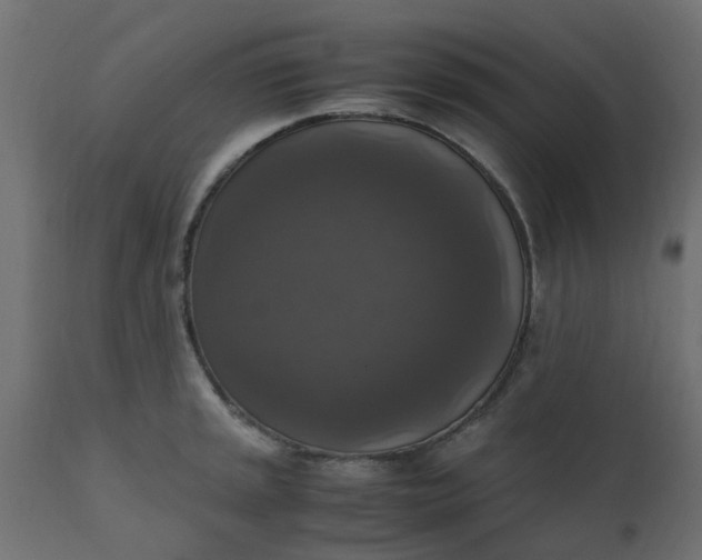X0000110711045200906261426
