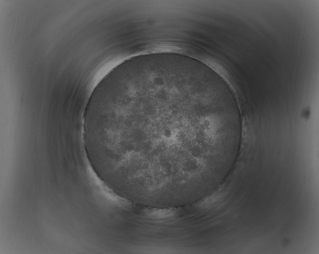 X0000110711047200906261426