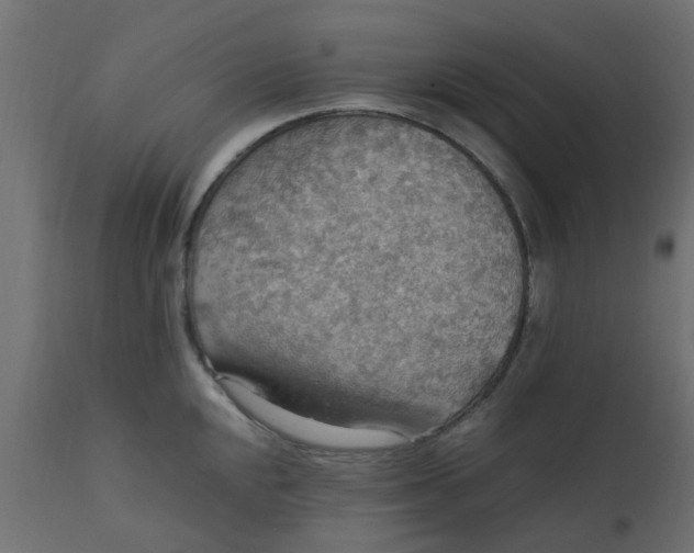 X0000110711048200906261426