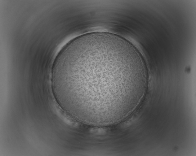 X0000110711051200906261426