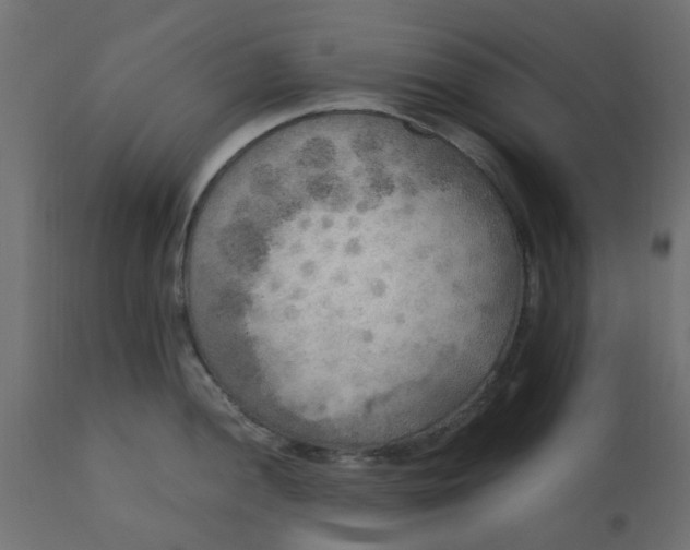 X0000110711052200906261426
