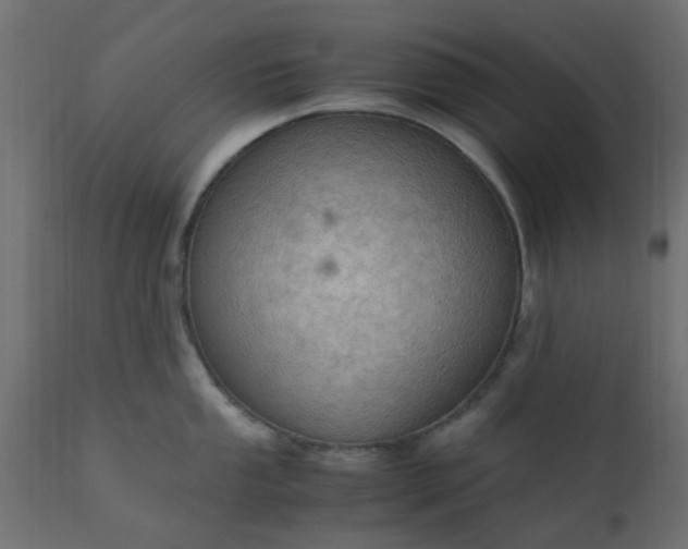 X0000110711053200906261426