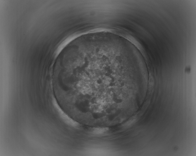 X0000110711055200906261426