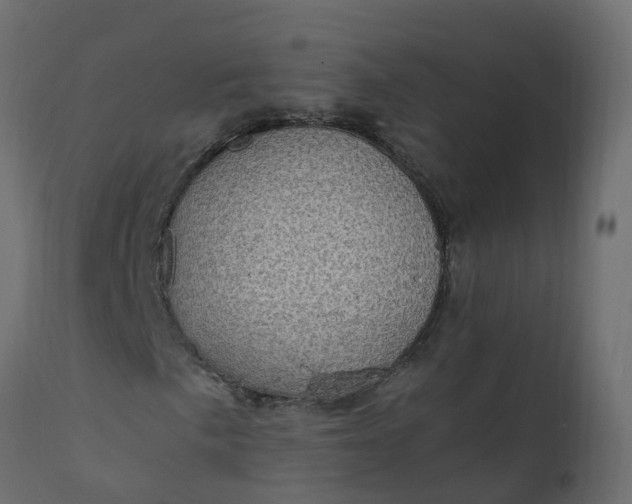 X0000110711057200906261426