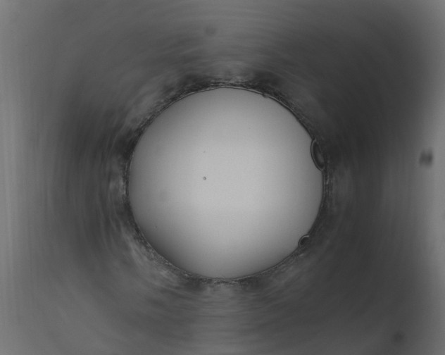 X0000110711058200906261426