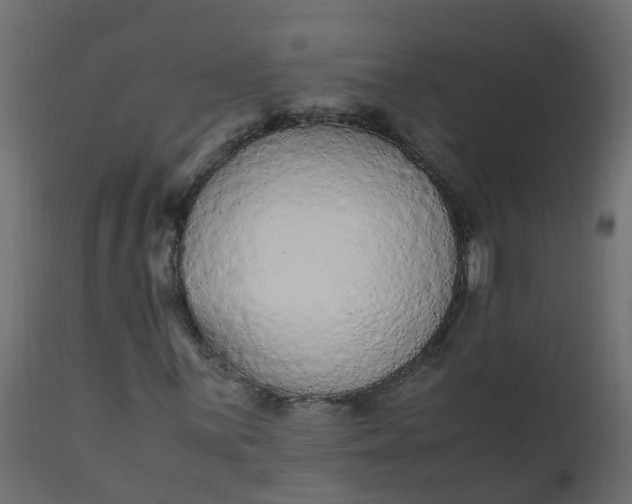 X0000110711059200906261426
